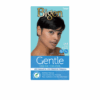 Bigen Gentle Ash Black Cream Colour # 2AB