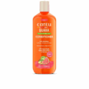 Cantu Guava Moisturizing Scalp Relief Conditioner 400ml
